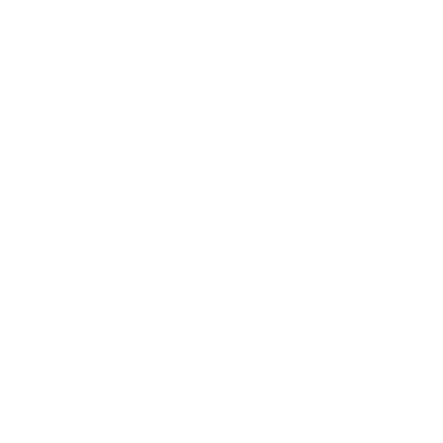 The Boost Nation Logo